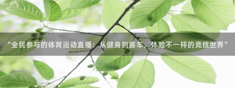 谈球吧