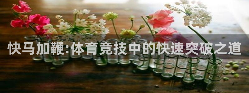 谈球吧
