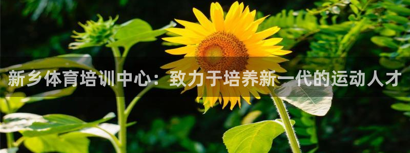 谈球吧体育官网