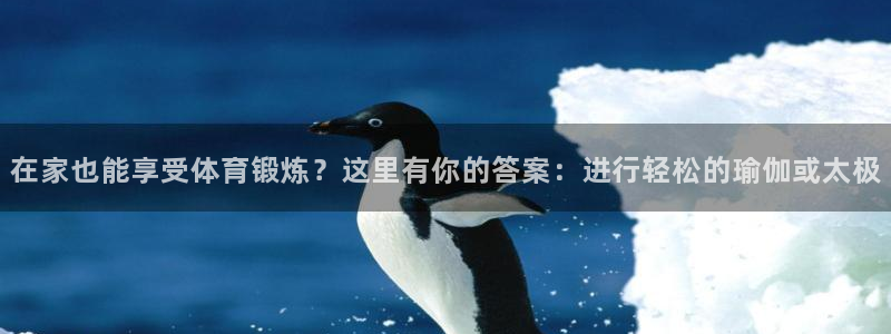谈球吧