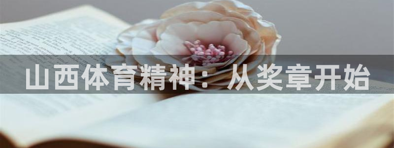谈球吧体育官网