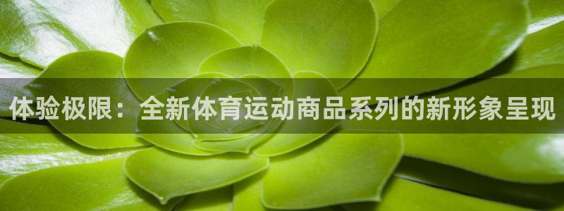 谈球吧体育：体验极限：全新体育运动商品系列的新形象呈现