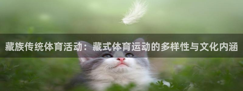 谈球吧：藏族传统体育活动：藏式体育运动的多样性与文化内涵