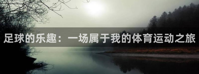 谈球吧：足球的乐趣：一场属于我的体育运动之旅