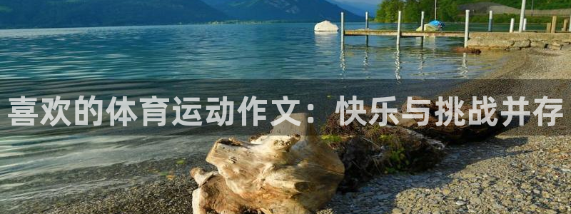 谈球吧：喜欢的体育运动作文：快乐与挑战并存