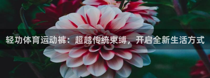 谈球吧体育