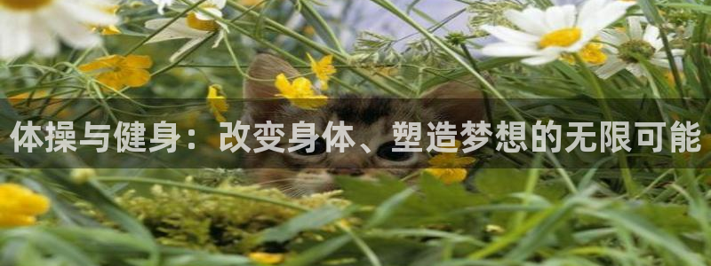 谈球吧体育官网