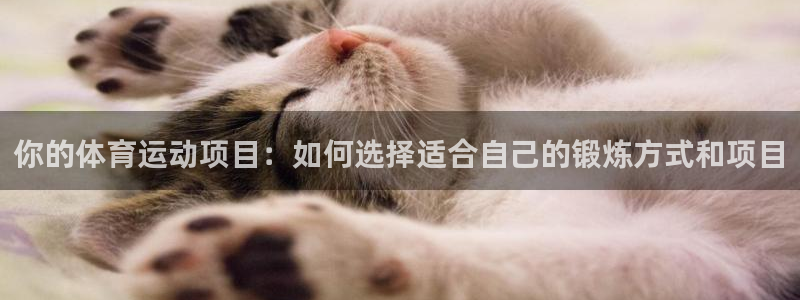 谈球吧体育官网