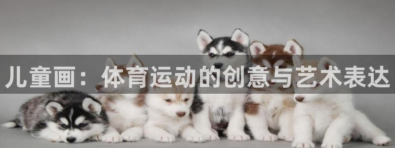 谈球吧体育官网