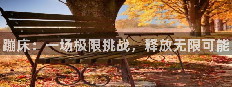 谈球吧：蹦床：一场极限挑战，释放无限可能