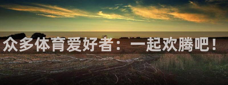 谈球吧体育：众多体育爱好者：一起欢腾吧！