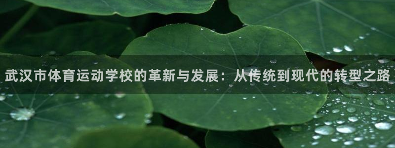 谈球吧：武汉市体育运动学校的革新与发展：从传统到现代的转型之路