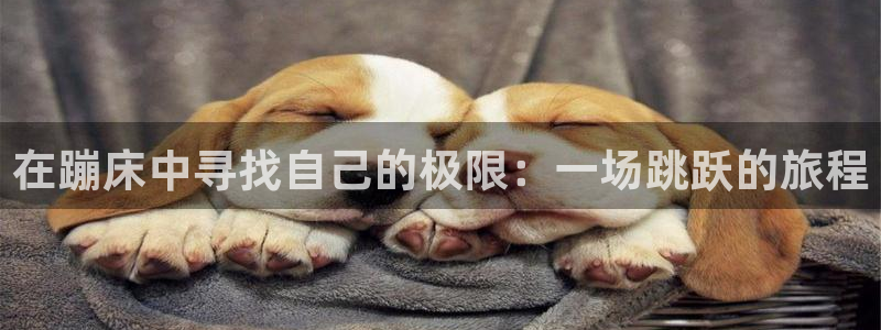 谈球吧体育官网：在蹦床中寻找自己的极限：一场跳跃的旅程